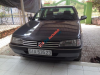 Peugeot 405 1994 - Bán Peugeot 405 đời 1994, màu nâu, nhập khẩu nguyên chiếc