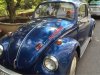 Volkswagen Beetle   1980 - Bán xe Volkswagen Beetle đời 1980, nhập khẩu nguyên chiếc, giá chỉ 170 triệu