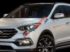 Hyundai Santa Fe 2WD 2016 - Bán xe Hyundai Santa Fe 2WD đời 2016 giá cạnh tranh