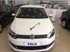 Volkswagen Polo   AT 2015 - Volkswagen Polo AT đẳng cấp châu Âu, sự lựa chọn đáng tin cậy, giá cực rẻ chỉ từ 632tr trả trước từ 125tr giao xe ngay