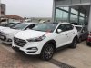 Hyundai Tucson 2.0AT 2WD 2017 - Bán Hyundai Tucson 2.0AT 2WD đời 2017, màu trắng, nhập khẩu, thanh toán 15% nhận xe ngay không cần thế chấp