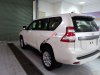 Toyota Prado 2017 - Bán xe Toyota Prado đời 2017, màu trắng, xe nhập