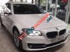 BMW 528i 2014 - Bán BMW 5 Series 528i đời 2014, màu trắng, xe đẹp