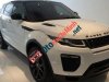 LandRover Evoque 2016 - Bán Range Rover Evoque HSE Dynamic đời 2016, 2017 màu trắng 