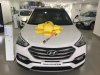 Hyundai Santa Fe 2.2 CRDi 2017 - Hyundai Trường Chinh - Hyundai Santa Fe 2017 tặng 50% trước bạ, liên hệ 0939.304.221 Minh
