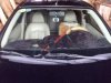 Nissan Sunny XV 2013 - Cần bán xe Nissan Sunny XV đời 2013, màu đen số tự động