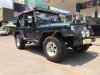 Jeep Wrangler MT 1995 - Cần bán lại xe Jeep Wrangler đời 1995, màu xanh lam, nhập khẩu số sàn
