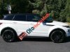 LandRover Evoque  Dynamic 2014 - Bán ô tô LandRover Evoque Dynamic Black sản xuất 2014, nhập khẩu nguyên chiếc