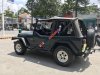 Jeep Wrangler 1995 - Bán xe Jeep Wrangler đời 1995, xe nhập số sàn giá cạnh tranh