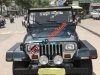 Jeep Wrangler 1995 - Bán xe Jeep Wrangler đời 1995, xe nhập số sàn giá cạnh tranh