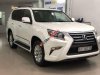 Lexus GX  460 2013 - Bán xe Lexus GX460 2013, màu trắng, nội thất nâu. Xe đẹp có hỗ trợ vay ngân hàng với gói vay ưu đãi