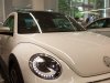 Volkswagen Beetle Dune  2017 - Bán Volkswagen Beetle Dune , màu trắng, nhập khẩu nguyên chiếc