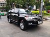 Toyota Land Cruiser VX 2016 - Cần bán lại xe Toyota Land Cruiser VX năm sản xuất 2016, màu đen, xe nhập