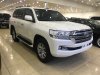 Toyota Land Cruiser VX 2016 - Cần bán gấp Toyota Land Cruiser VX 2016, màu trắng, nhập khẩu nguyên chiếc