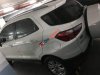 Ford EcoSport Titanium  2015 - Cần bán xe Ford EcoSport Titanium sản xuất 2015, màu trắng 