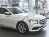 Mercedes-Benz E class 250 2018 - Bán ô tô Mercedes 250 2018, màu trắng