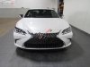 Lexus ES 250 2018 - Bán Lexus ES 250 sản xuất 2018, màu trắng, nhập khẩu