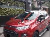 Ford EcoSport Titanium    2014 - Bán xe Ford Ecoport bản full option