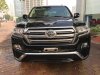 Toyota Land Cruiser VX 2016 - Cần bán gấp Toyota Land Cruiser VX 2016, màu đen, nhập khẩu Nhật đăng ký 2016 tư nhân