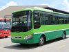 Isuzu NQR     2024 - Xe buýt Samco City I.51 Diesel - Động cơ Isuzu 5.2 Euro5