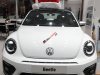 Volkswagen Beetle 2018 - Xe con bọ Volkswagen Beetle đời 2018, xe nhập Đức, khác biêt