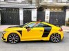 Audi TT 2009 - Cần bán xe Audi TT sản xuất 2009, màu vàng, xe nhập