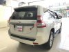 Toyota Prado 2017 - Bán Toyota Prado sản xuất 2017, nhập khẩu nguyên chiếc