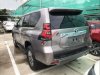 Toyota Prado 2019 - Cần bán gấp Toyota Prado 2019, màu bạc, nhập khẩu nguyên chiếc