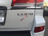 Lexus LX 570 2014 - Bán chiếc LX570 sản xuất 2014 màu trắng, biển SG 1 chủ