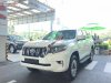 Toyota Prado 2019 - Bán xe Toyota Prado đời 2019, màu trắng, nhập khẩu