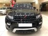 LandRover Evoque 2013 - Bán xe LandRover Evoque sản xuất 2013, màu đen, nhập khẩu