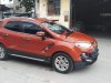 Ford EcoSport    Titanium 2014 - Bán Ford EcoSport Titanium năm 2014, 495 triệu