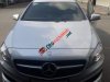 Mercedes-Benz A class A250 2014 - Cần bán gấp Mercedes A250 năm sản xuất 2014, màu bạc, nhập khẩu nguyên chiếc còn mới