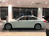 BMW 5 Series 530i Luxury Line 2018 - Bán xe BMW 5 Series 530i Luxury Line đời 2018, màu trắng, xe nhập