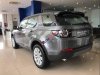 LandRover Discovery  Sport SE  2018 - Cần bán LandRover Discovery Sport SE 2018, màu xám