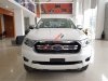 Ford Ranger   XLT  2019 - Bán Ford Ranger XLT đời 2019, màu trắng, xe nhập