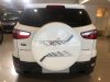 Ford EcoSport 1.5l Titanium 2017 - Bán Ford Ecosport Titanium 2017, đi 29000 km. Xe bán và bảo hành tại hãng Ford