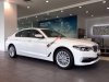 BMW 5 Series  530i  2019 - Bán BMW 5 Series 530i đời 2019, màu trắng, xe nhập