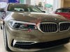 BMW 5 Series 530i 2019 - Bán BMW 5 Series 530i đời 2019, màu nâu