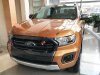 Ford Ranger  Wildtrak 2019 - Cần bán xe Ford Ranger Wildtrak đời 2019, nhập khẩu