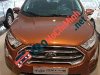 Ford EcoSport Titanium 2018 - Bán xe Ford EcoSport Titanium đời 2018, màu nâu