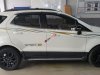 Ford EcoSport Titanium 2017 - Cần bán xe Ford EcoSport Titanium sản xuất 2017, màu trắng