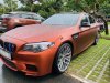 BMW 5 Series 2010 - Bán BMW 5 Series năm sản xuất 2010, nhập khẩu nguyên chiếc, giá cạnh tranh