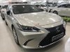 Lexus ES 2019 - Bán Lexus ES 250 2019, màu vàng, nhập khẩu nguyên chiếc