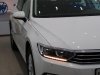 Volkswagen Passat Bluemotion Comfort 2018 - Bán Volkswagen Passat Bluemotion Comfort năm 2018, màu trắng, xe nhập