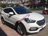 Hyundai Santa Fe 2017 - Bán Hyundai Santa Fe 4x4 sản xuất 2017, màu trắng xe gia đình giá cạnh tranh
