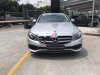 Mercedes-Benz E class  E250  2017 - Cần bán xe Mercedes E250 sản xuất 2017, màu bạc