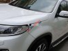 Kia Sorento   2016 - Bán Kia Sorento sản xuất năm 2016, màu trắng, số tự động 