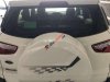 Ford EcoSport   2017 - Bán xe Ford EcoSport đời 2017, odo 130.000km