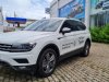 Volkswagen Tiguan 2019 - Bán xe VW Tiguan S màu trắng, nhập khẩu Đức, đăng kí 2020